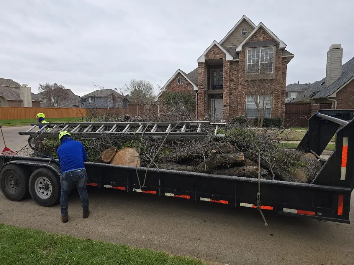 Expert Lot Clearing with proper safety equipment in Kasota